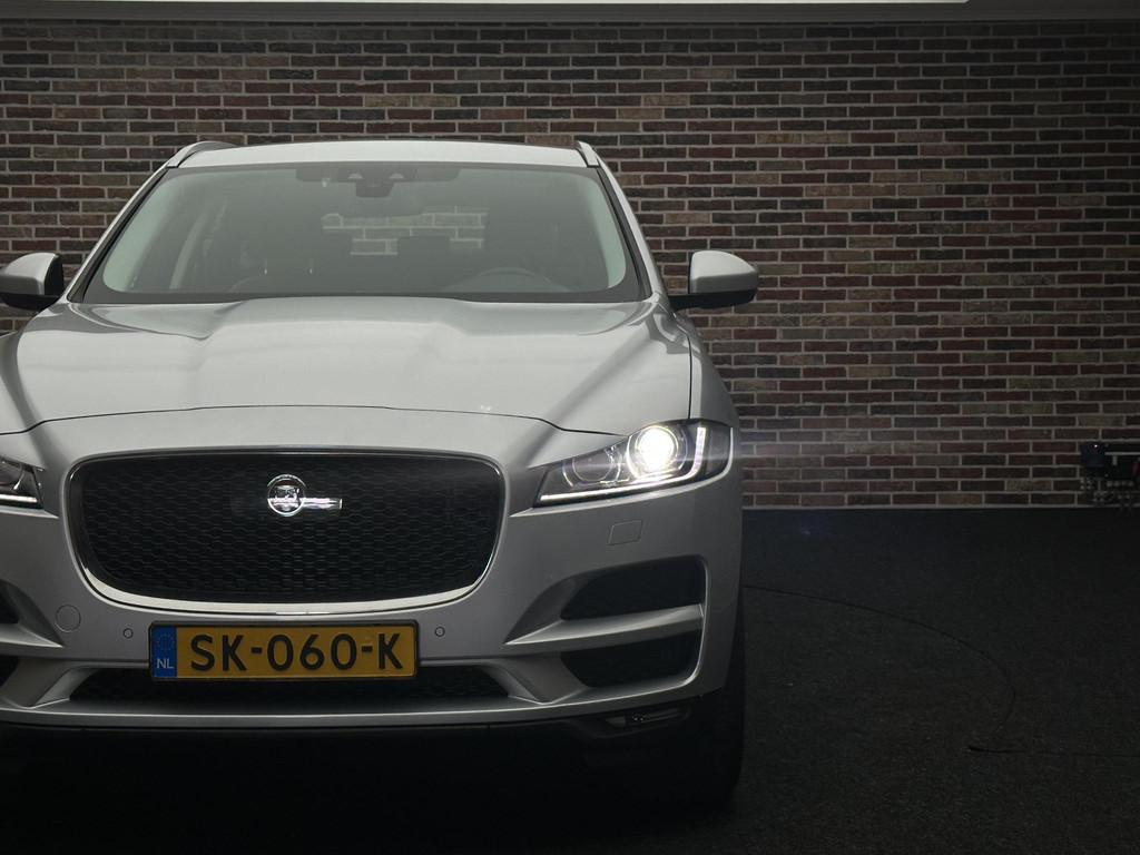 46298179-10.jpg