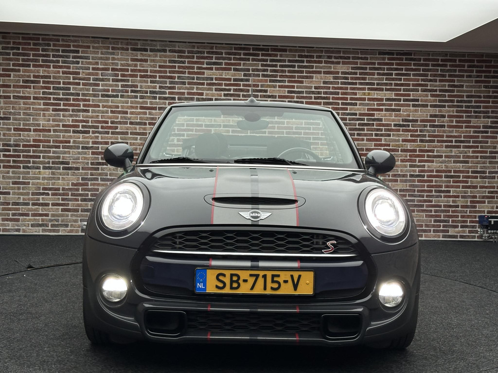 47461549-4.jpg