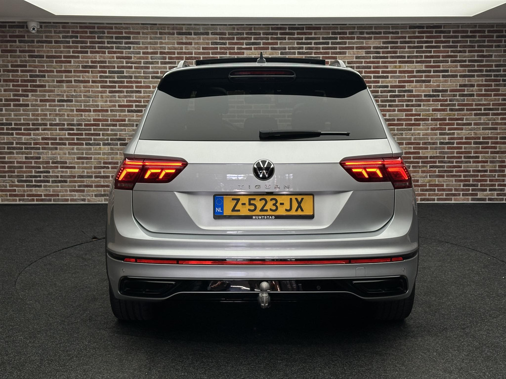 47484800-7.jpg